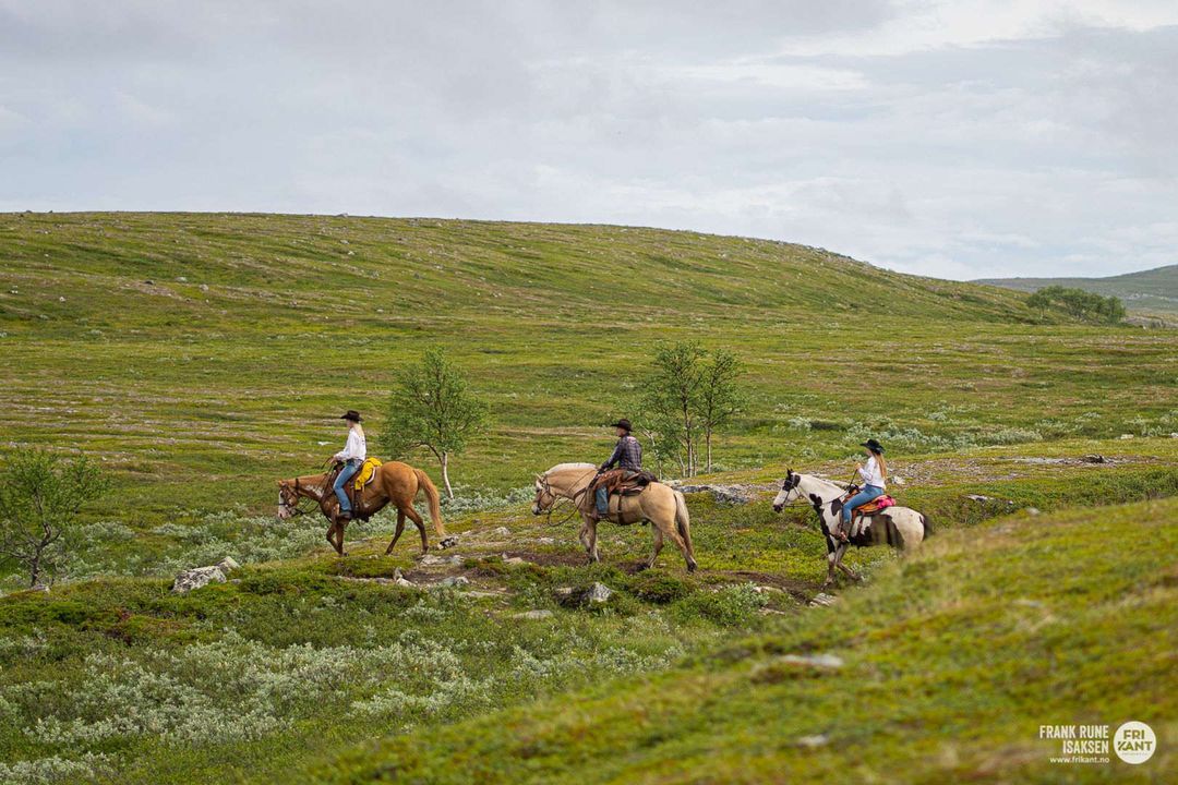 Three riders crossing the green plateau in summer
