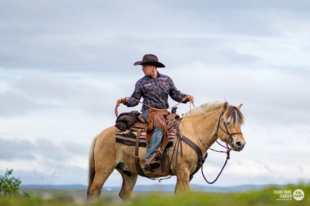 A rider on a Fjord Horse holding a coiled rope