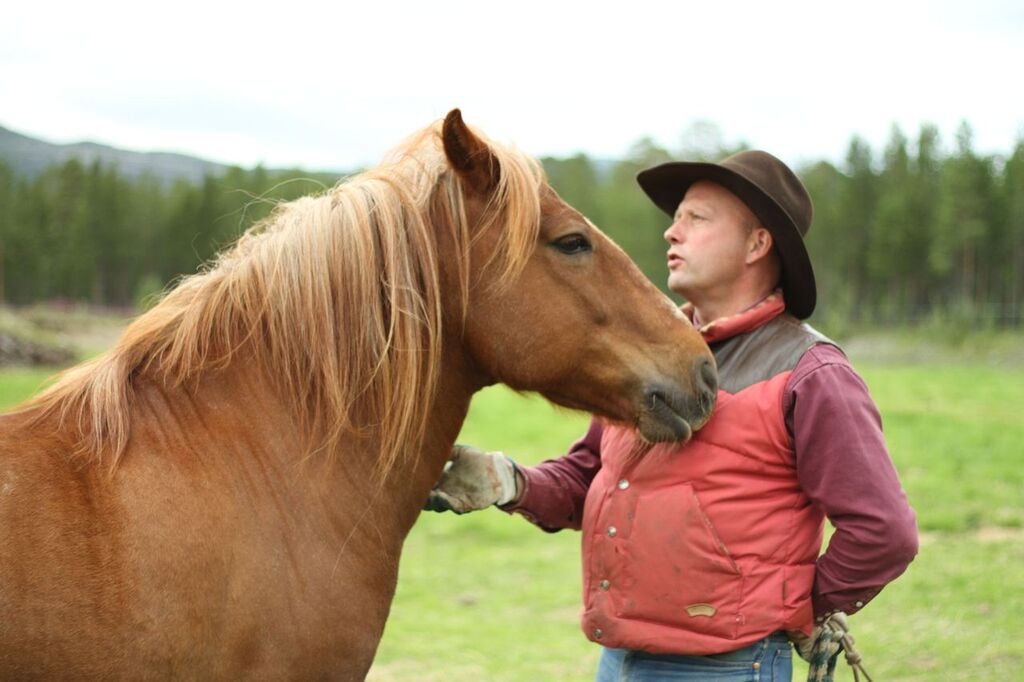 A rancher face to face with a chestnut horse in the pasture