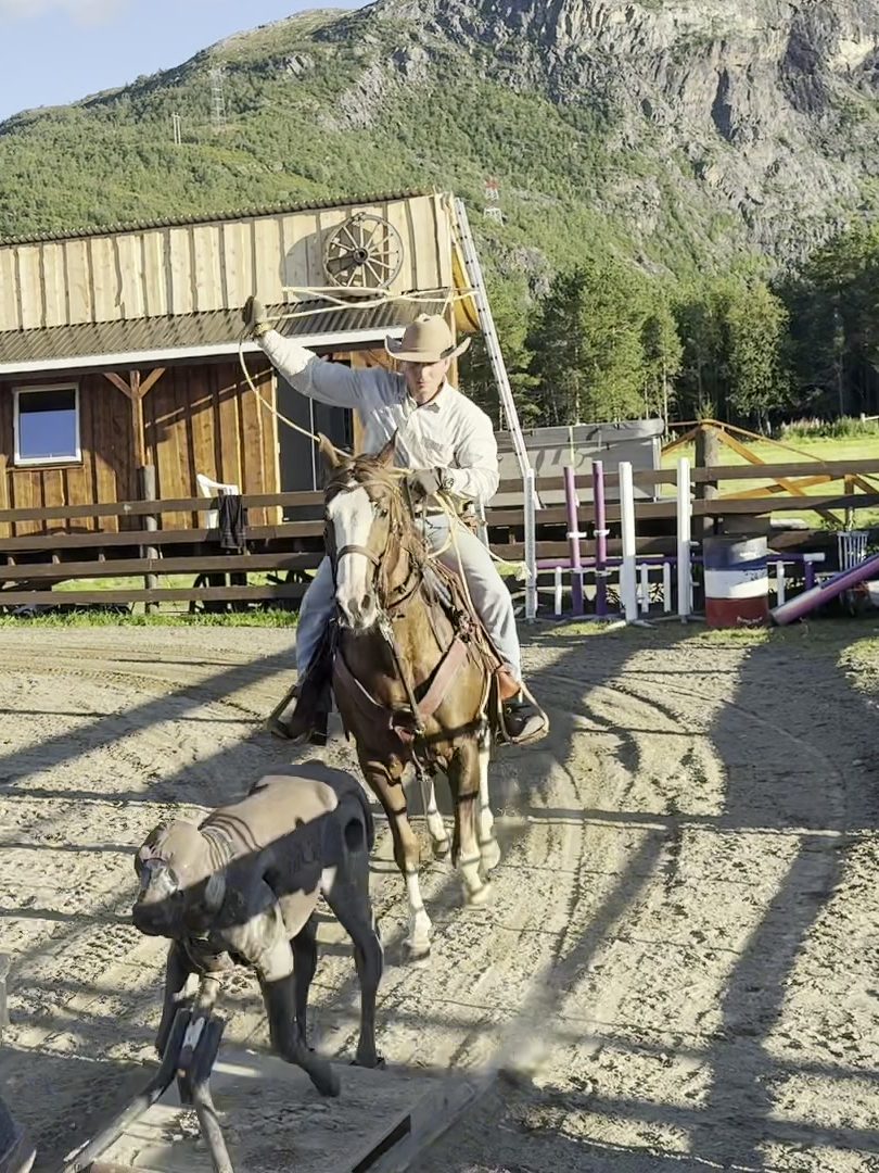 A rider swinging a lasso behind the roping dummy in the arena
